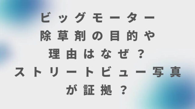 ビッグモーター除草剤の目的や理由はなぜ？ストリートビュー写真が証拠？